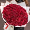 51 красная пионовидная роза Хартс